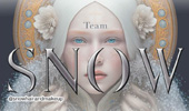 Team Snow Professional Hair and Makeup